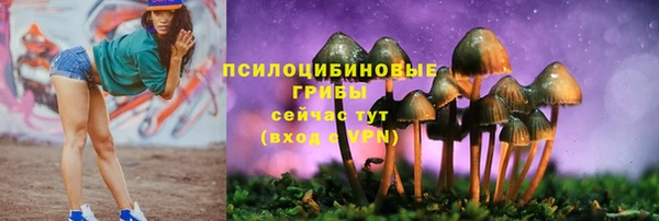 наркотики Гусь-Хрустальный