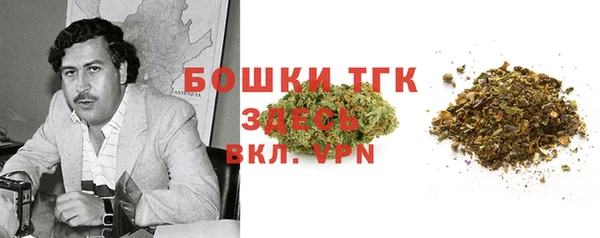 бошки Гусиноозёрск