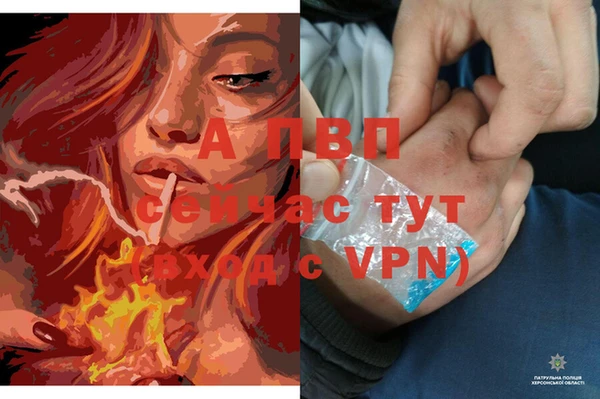 наркотики Гусев