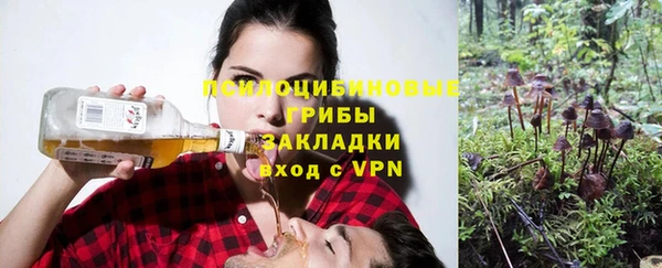 бошки Гусиноозёрск
