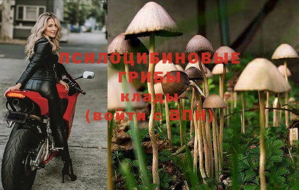 наркотики Гусь-Хрустальный