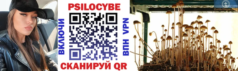 Купить где  Полевской  Галлюциногенные грибы мухоморы 